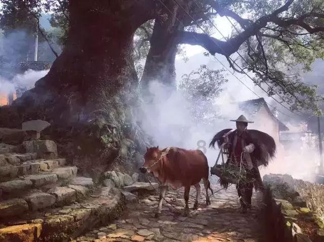 摩娜的时尚装扮